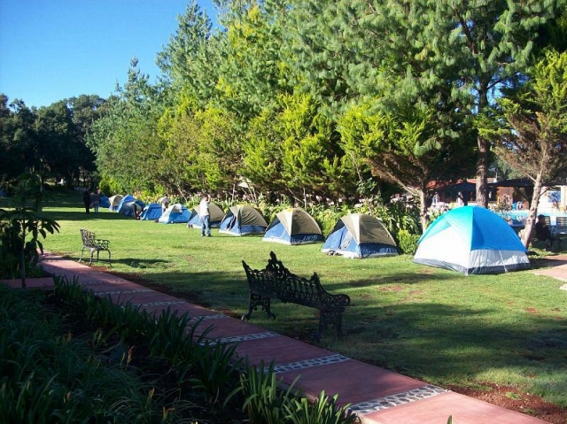 Camps de grupo